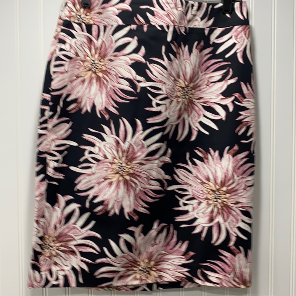 NWOT Ann Taylor Pencil Skirt